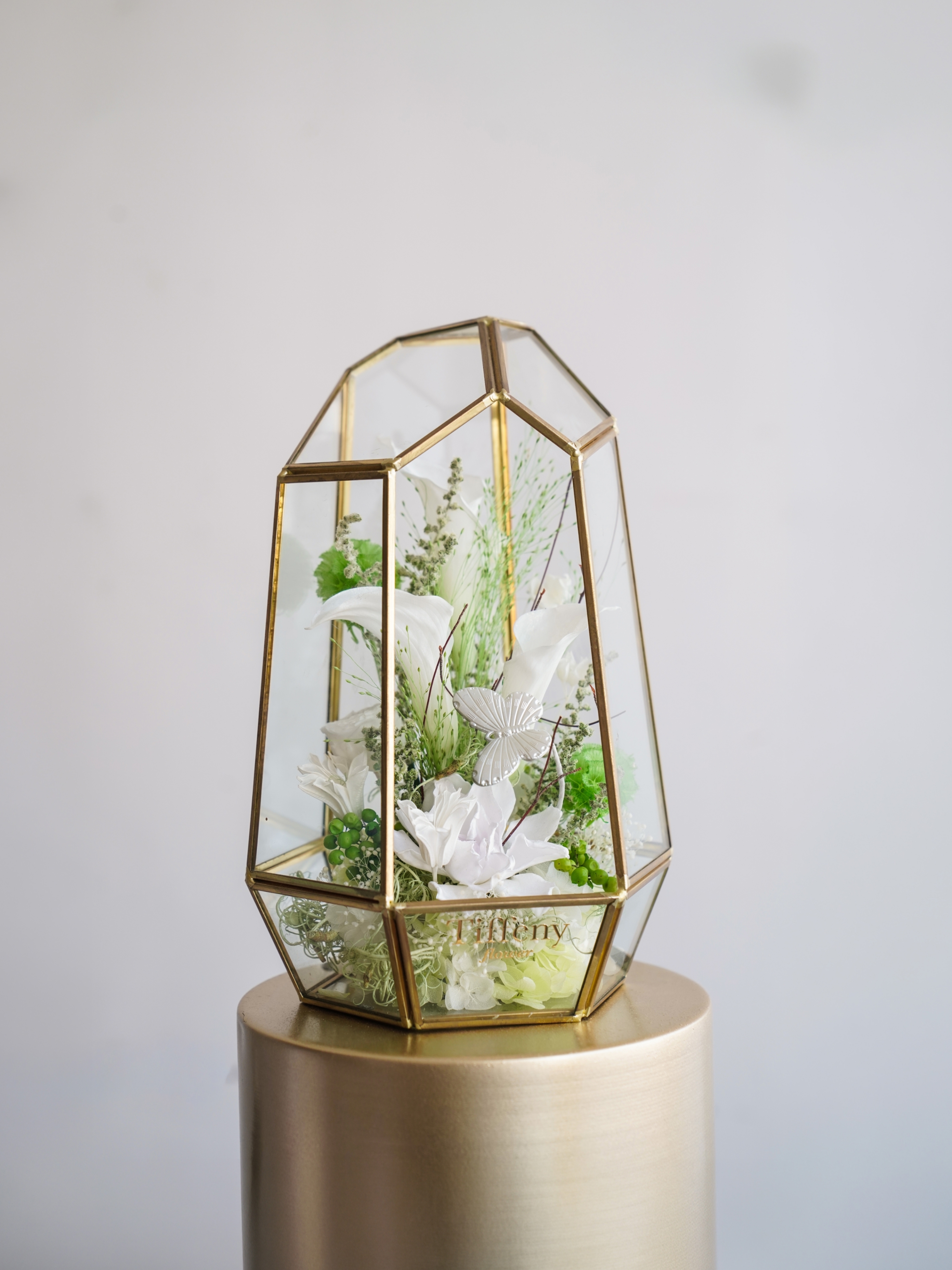 【限量特殊花】晨曦精靈 永生海芋 玻璃罩 / L /