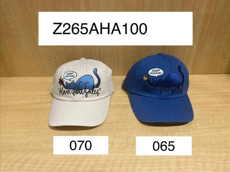 ZZ09  [ Z265AHA100 ] $239