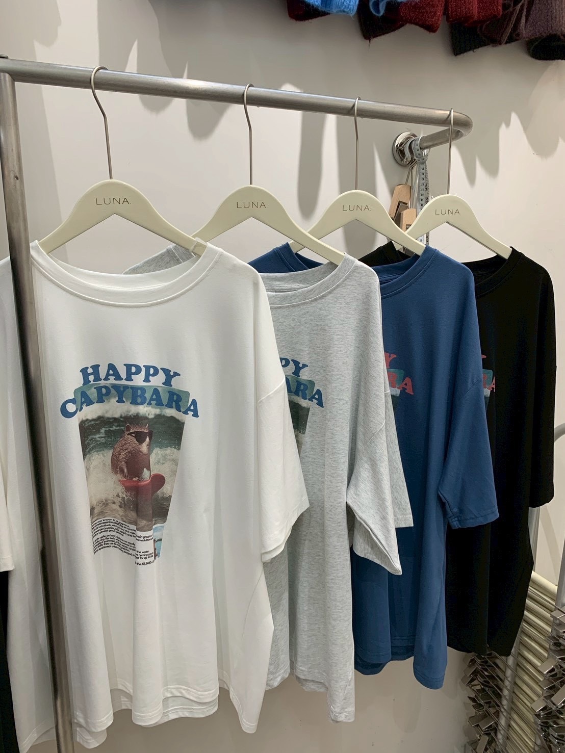 A27 預購衝浪水豚大學T