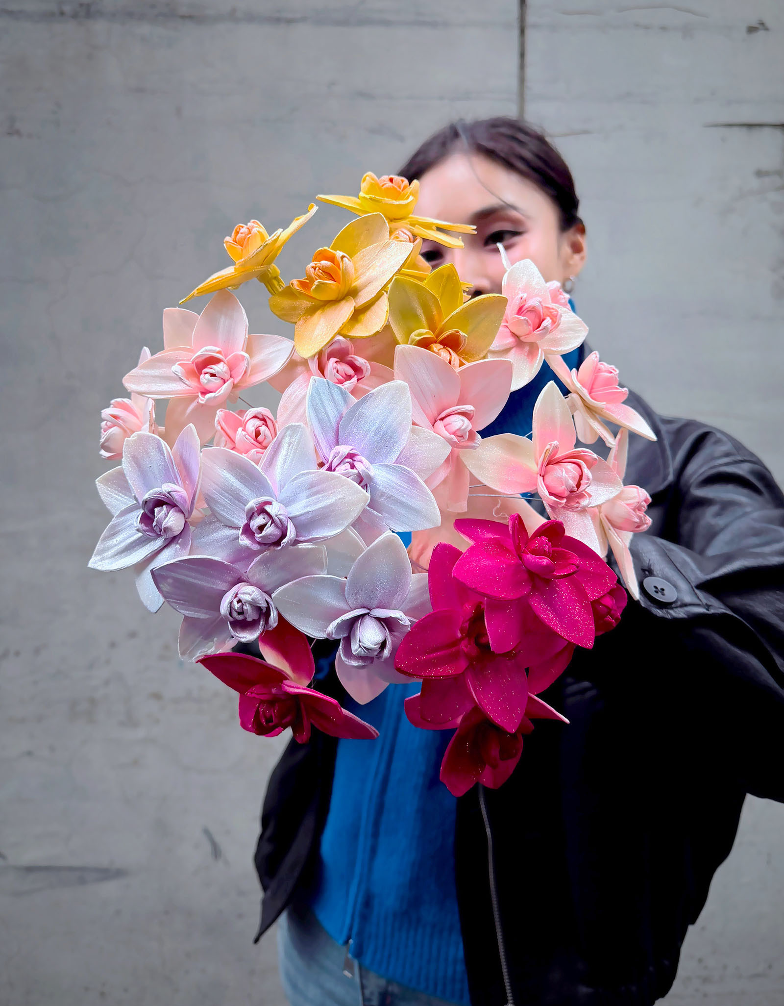 乾燥蝴蝶蘭索拉