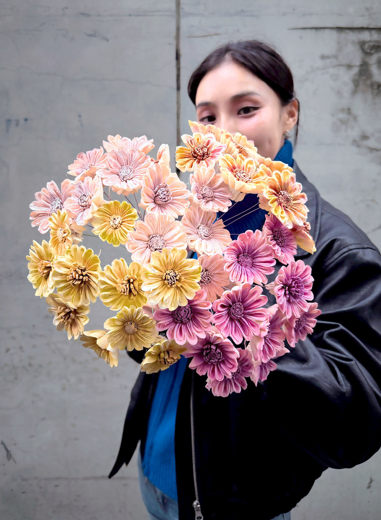 乾燥非洲太陽索拉4cm