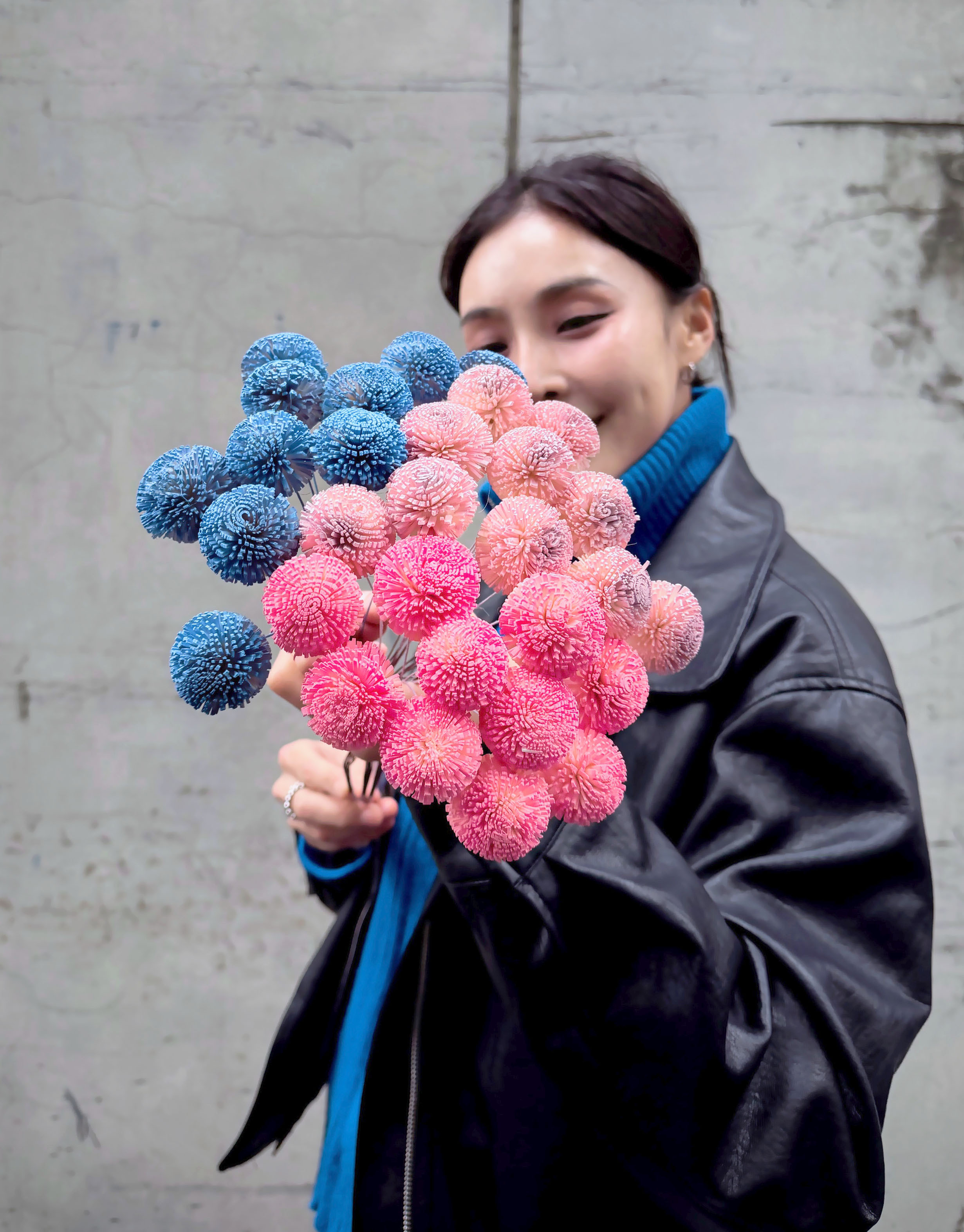 乾燥大乒乓索拉(5cm)