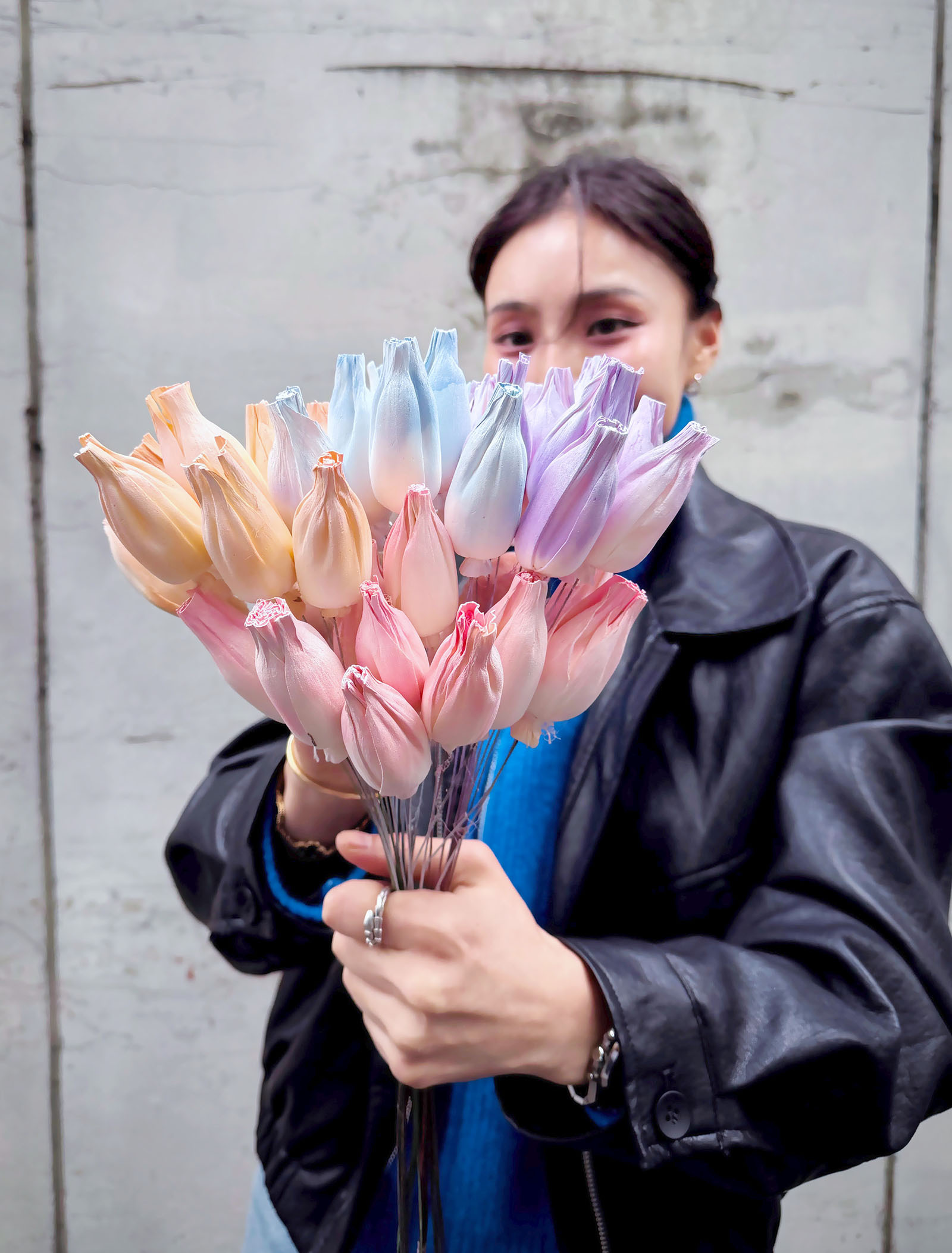 乾燥中型鬱金香索拉