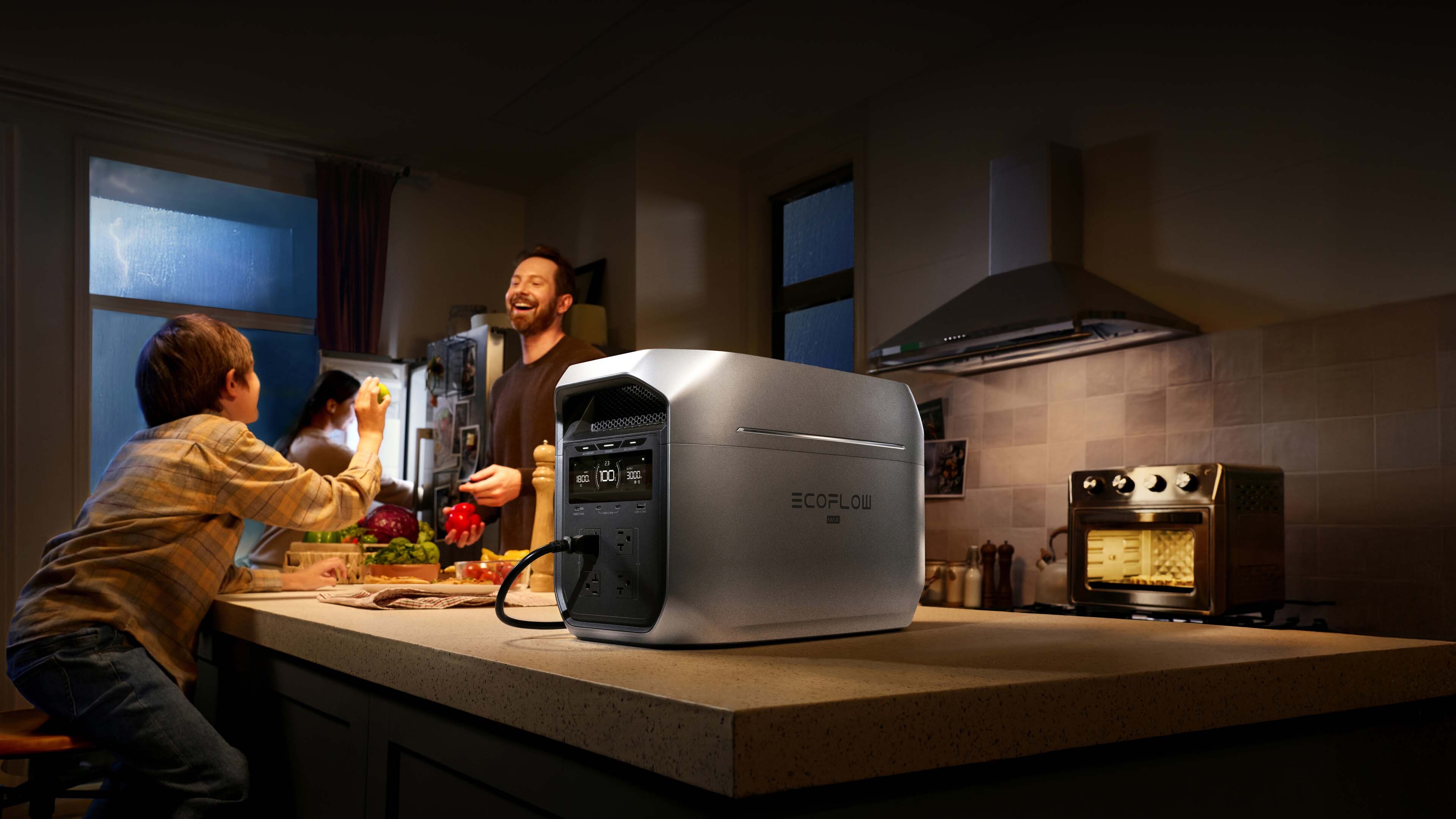 Delta 3 Max Plus 大容量流動電源(2048Wh)