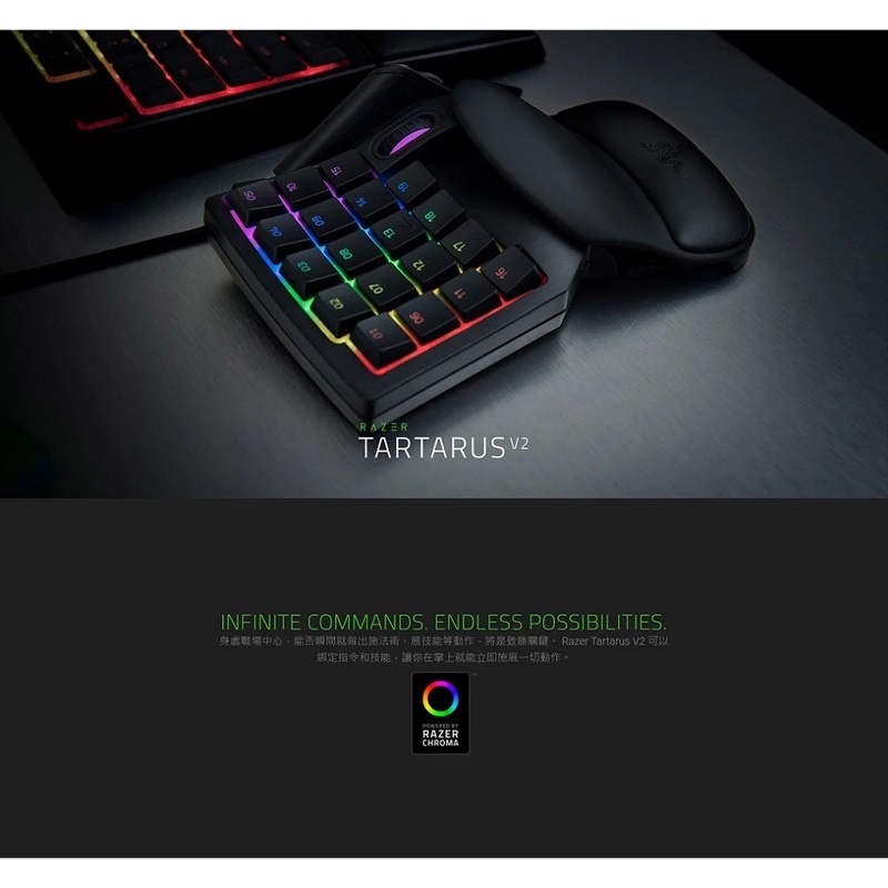 Razer 雷蛇 塔洛斯魔蠍 Tartarus V2 人體工學機械式薄膜小鍵盤/RZ07-02270100-R3M1