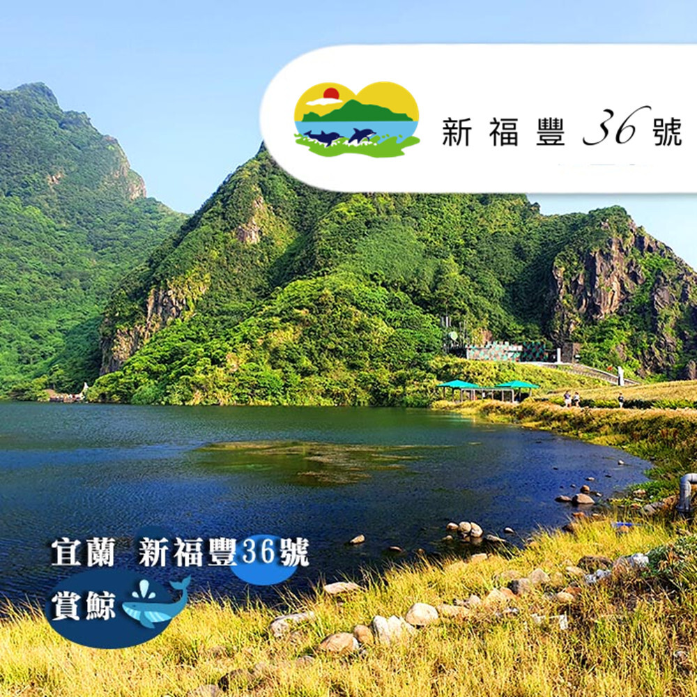 【宜蘭】新福豐36號賞鯨 搭乘券 Ⓗ