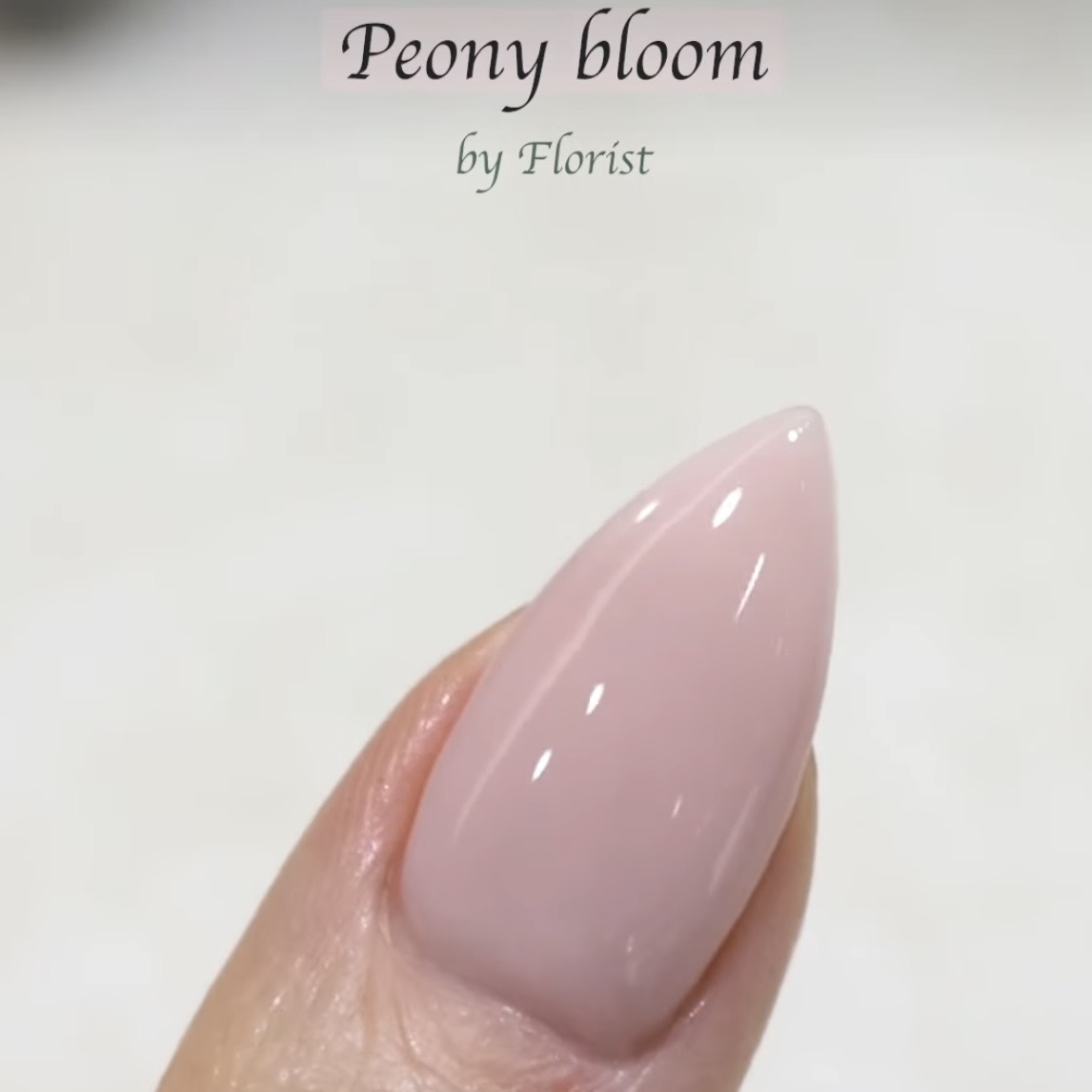 Estemio ESY12 -- Florist