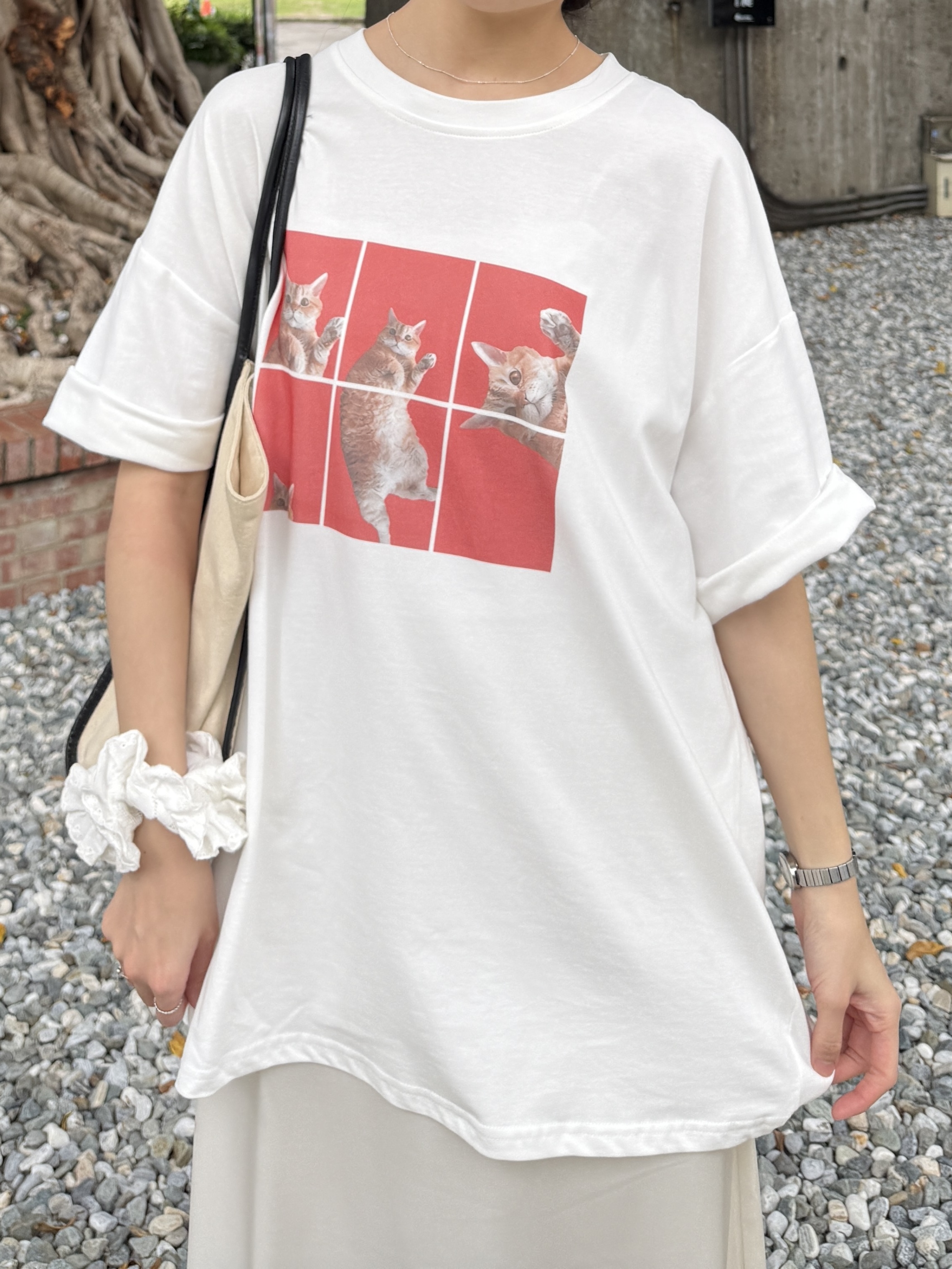 6格貓咪磨毛大T*3色