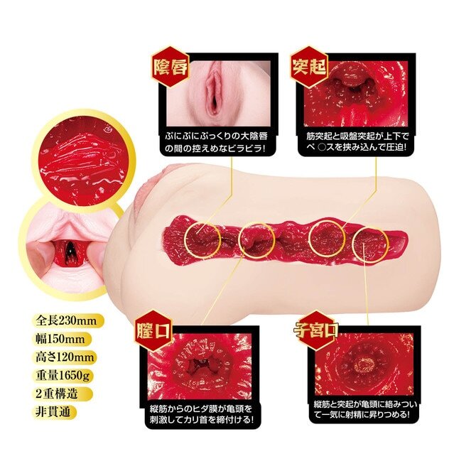 NPG 名器之証明 No.014 吸啜震動版 1.6kg 小宵虎南 (小宵こなん) 電動女優名器