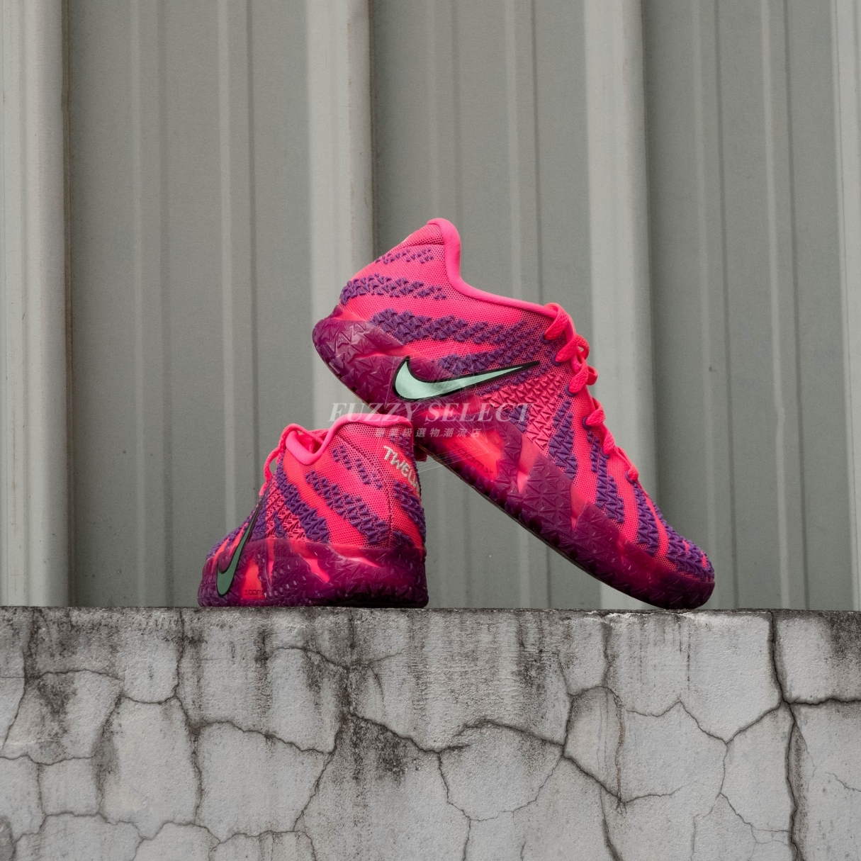 【逢甲FUZZY】Nike JA 3 EP "Price of Admission" 粉紫 HF2794-600