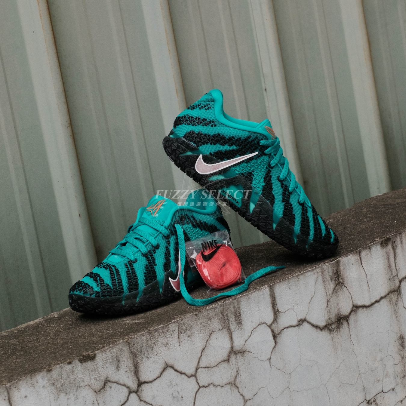 【逢甲 FUZZY】Nike JA 3 EP "Grizzlies"  灰熊隊 黑綠 HF2794-300