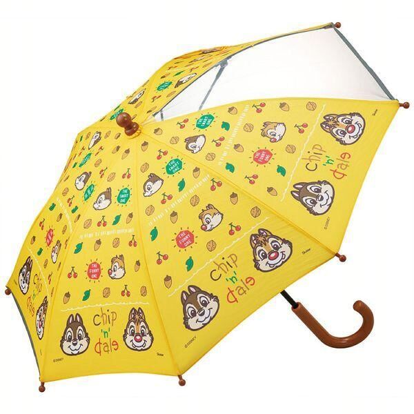 日本直送 Skater 幼童雨傘35cm -Chip n Dale