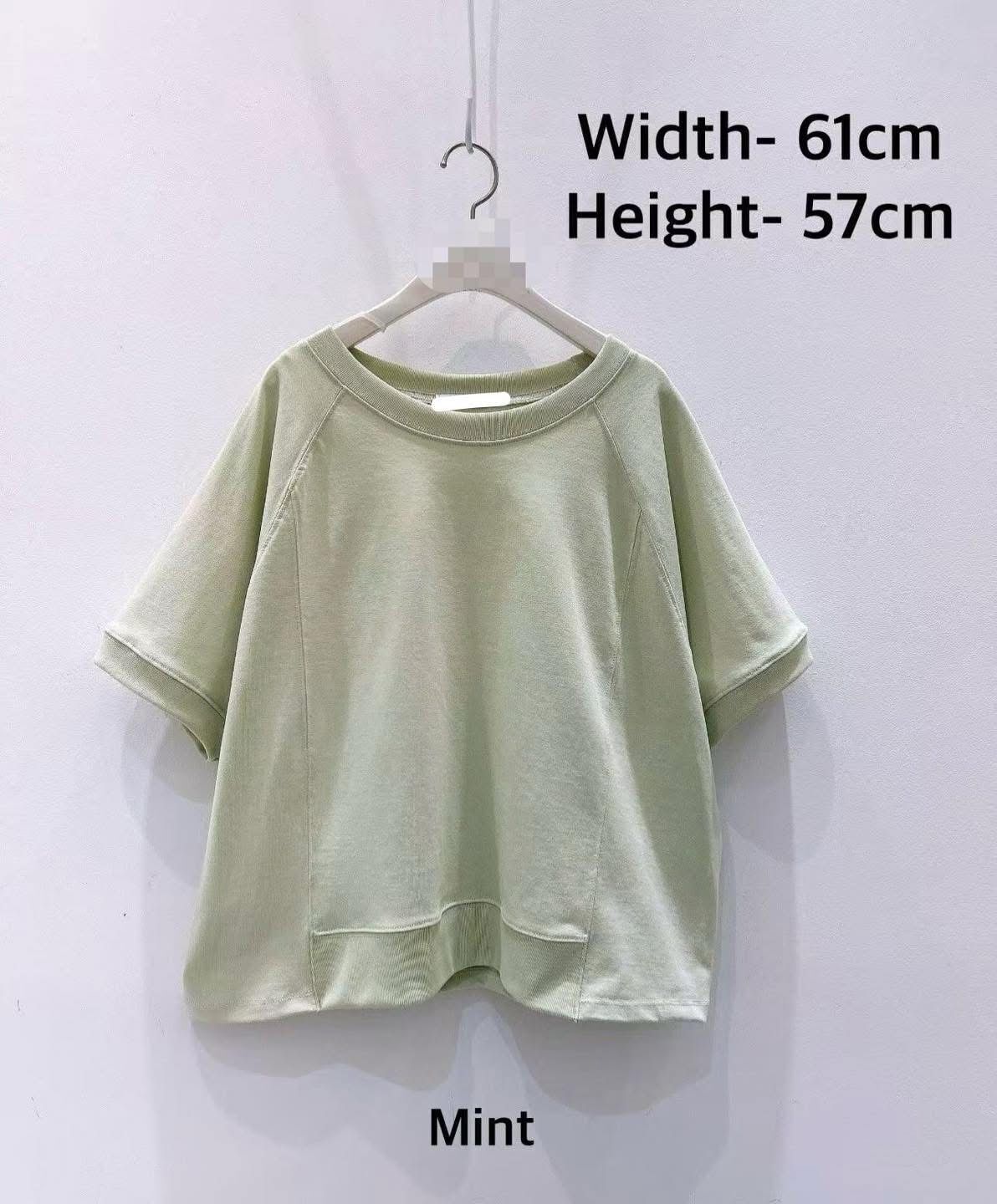 韓國高質牌子大size 淨色衫