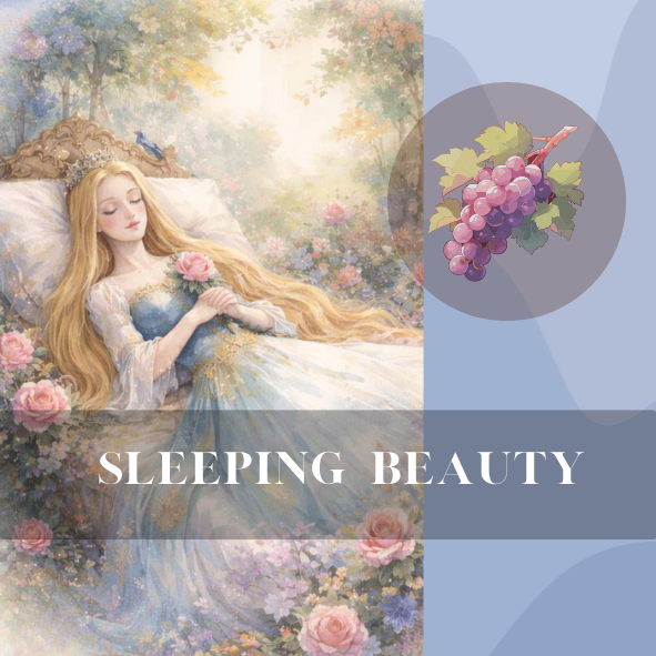 睡美人｜特製配方｜淺焙