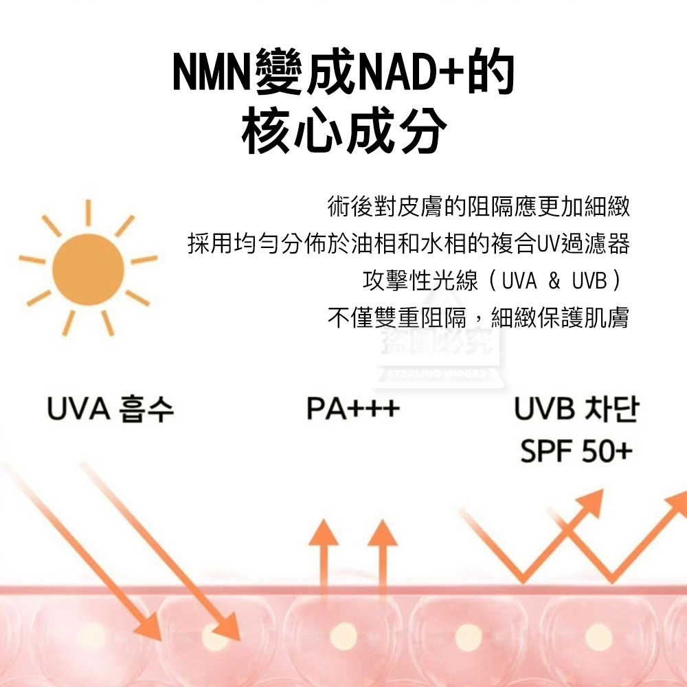 WSBB10734  韓國製造🇰🇷｜ElixirLab NMN｜高機能逆光防曬 50ml（現貨）