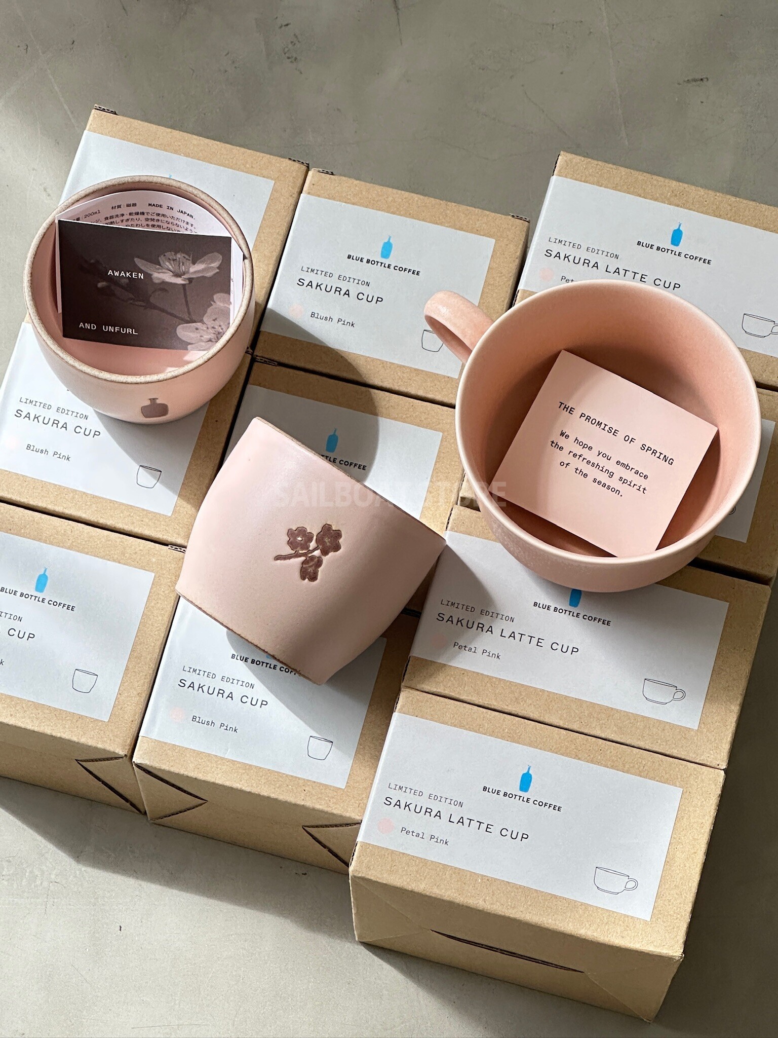 #現貨 🇯🇵日本 限量BLUE BOTTLE 藍瓶 × yumiko iihoshi porcelain 櫻花季限定 拿鐵杯