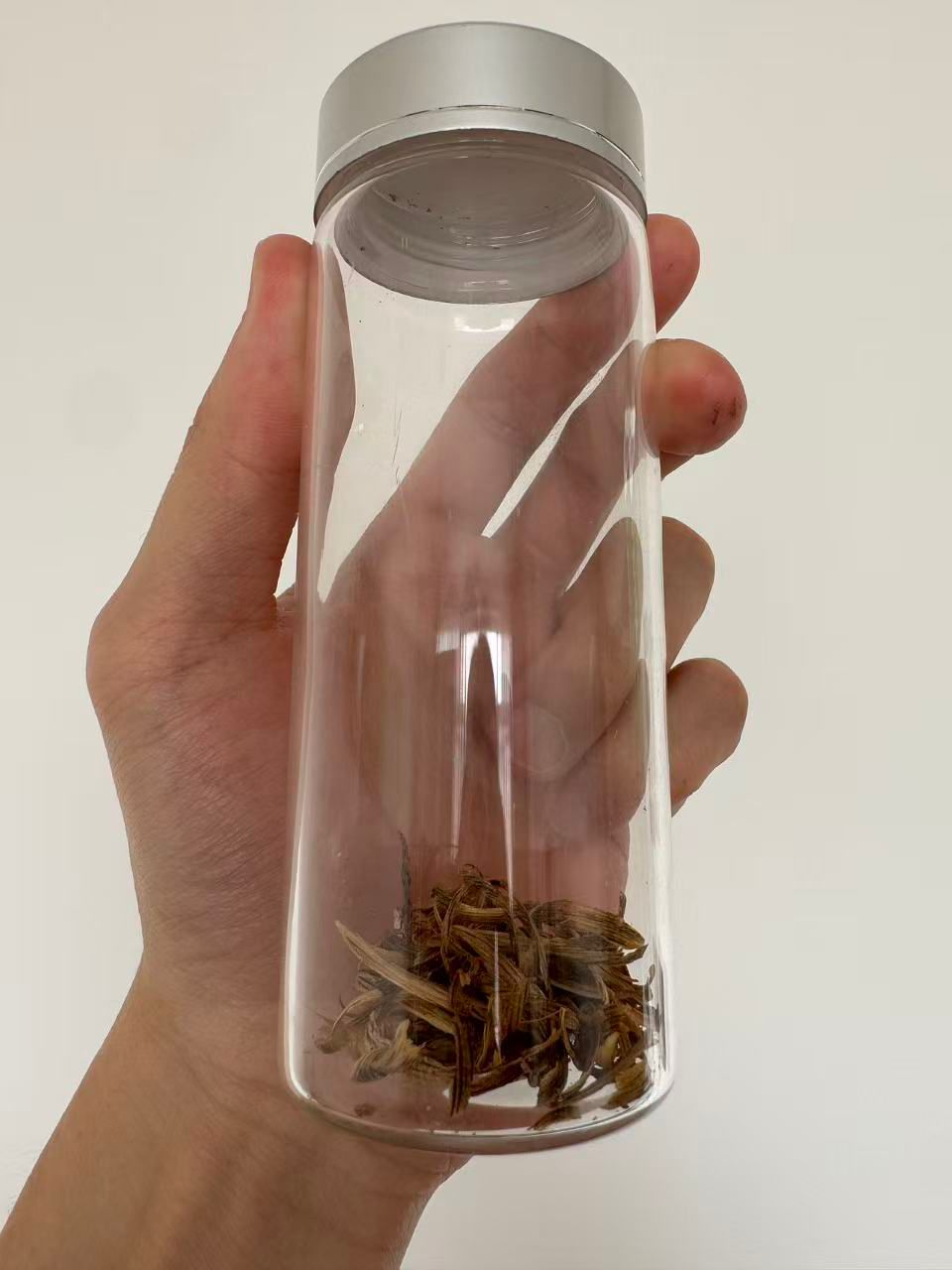 WB091 心若蓮華沉香 勾絲1g