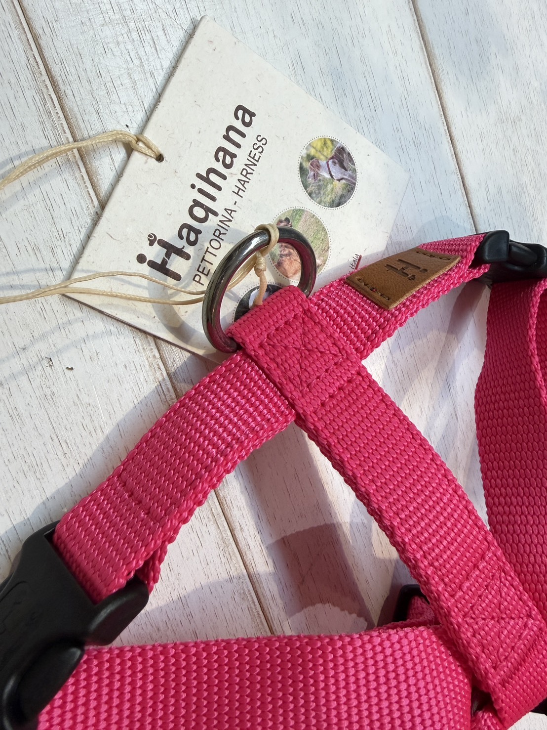 義大利Haqihana｜【霓虹泡泡糖】減壓H型寵物胸背帶