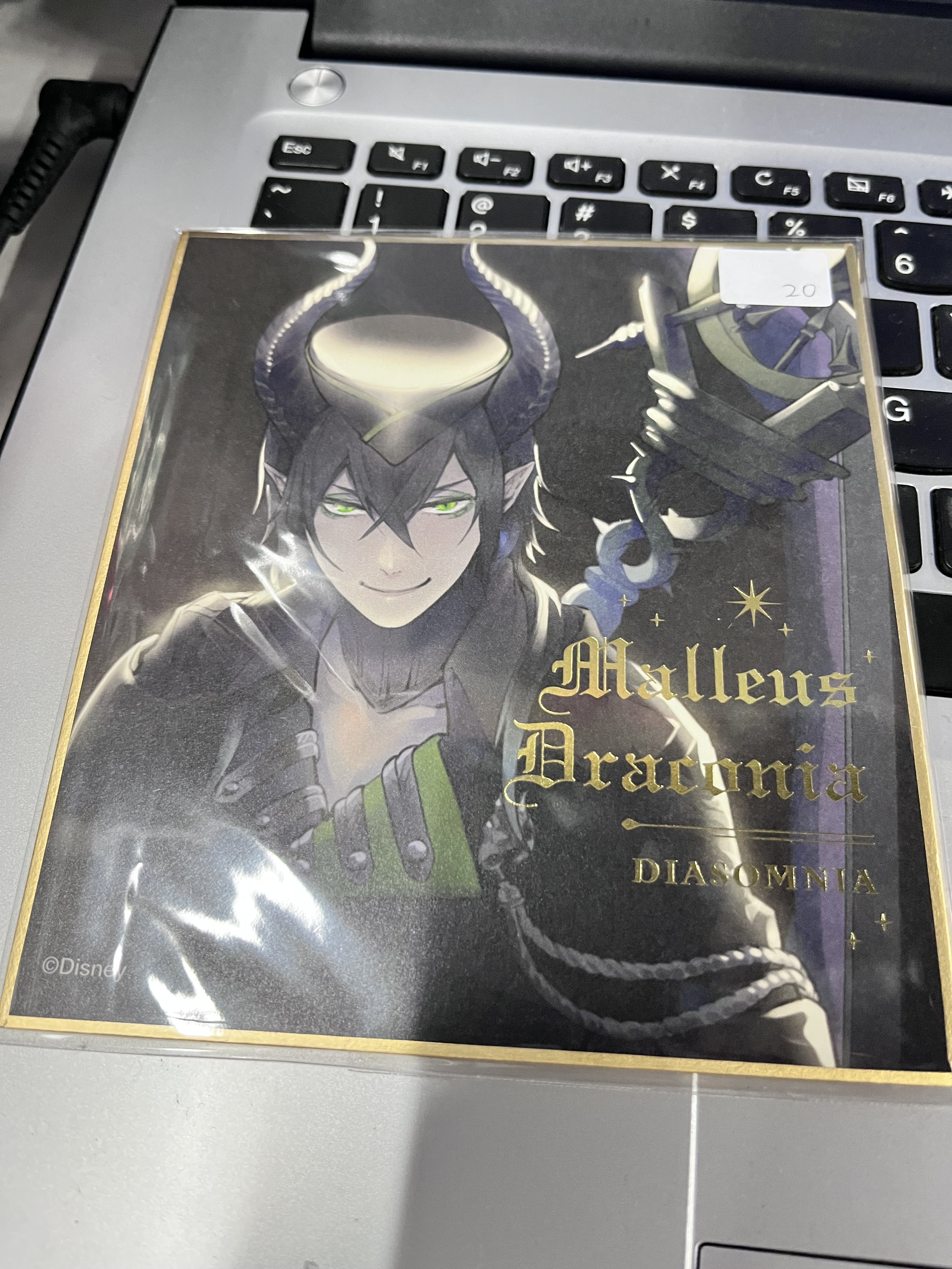 TWST MALLEUS 色紙#361