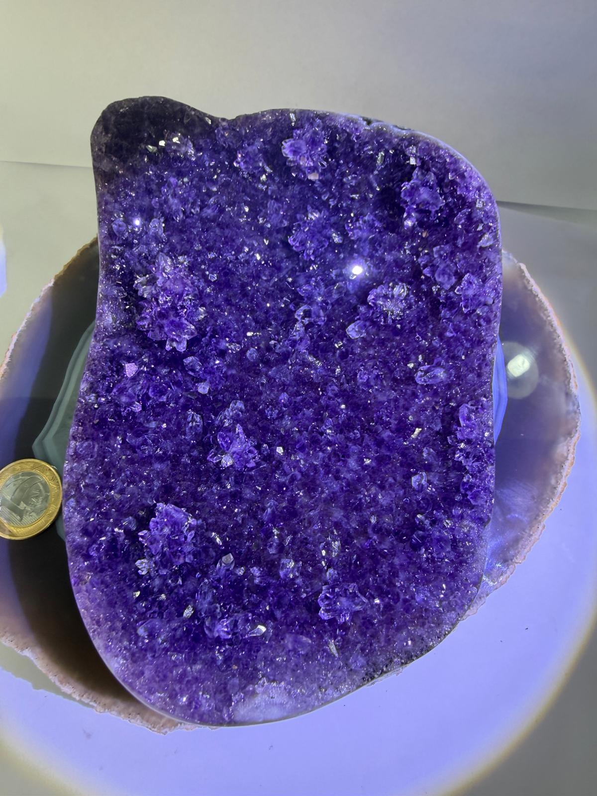 WA693 H22 頂級 SS 貨 1.5-2.2kg 水晶聚寶盆款