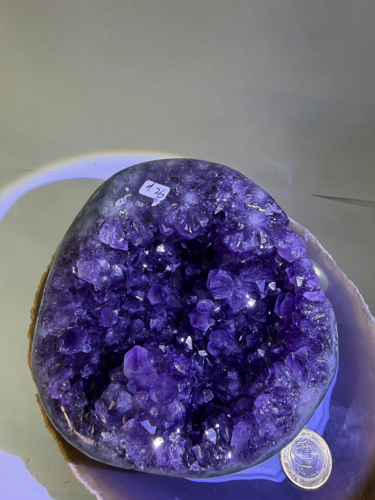 WA697 H26 頂級 SS 貨 1.5-2.2kg 水晶聚寶盆款