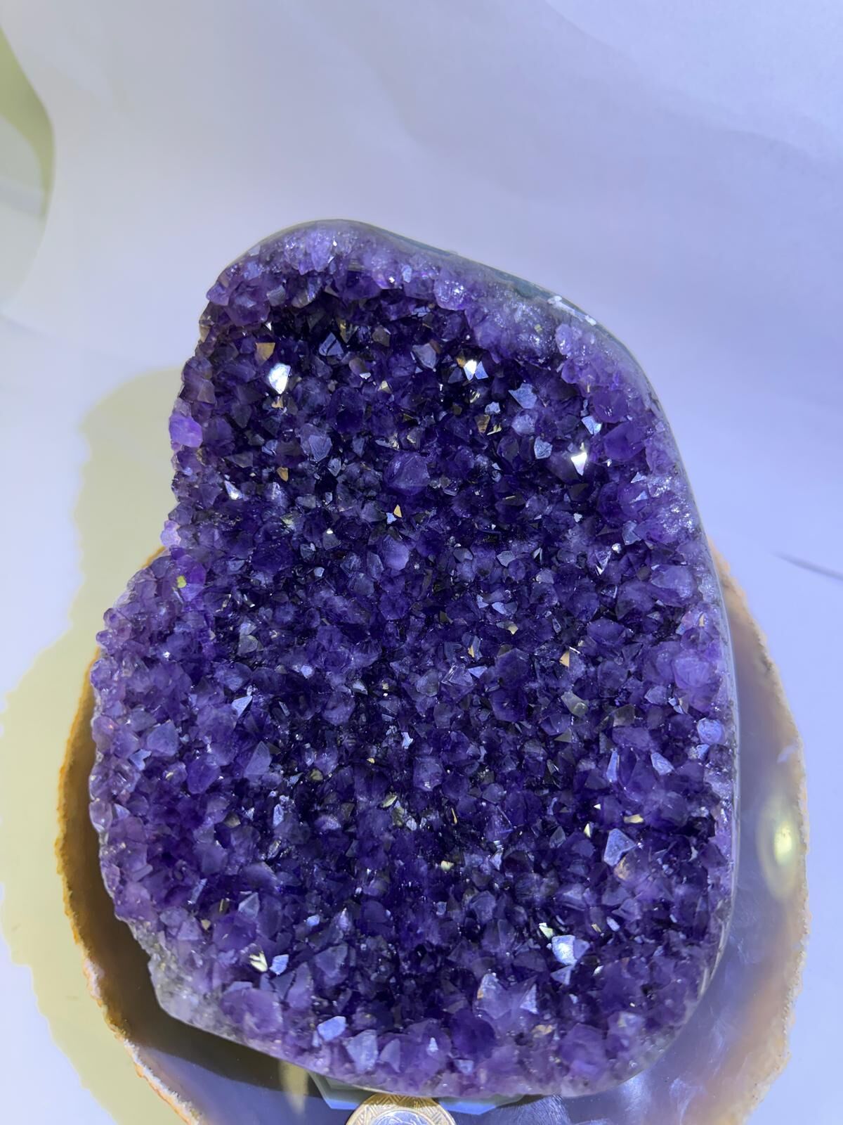 WA686 H15 頂級 SS 貨 1.5-2.2kg 水晶聚寶盆款