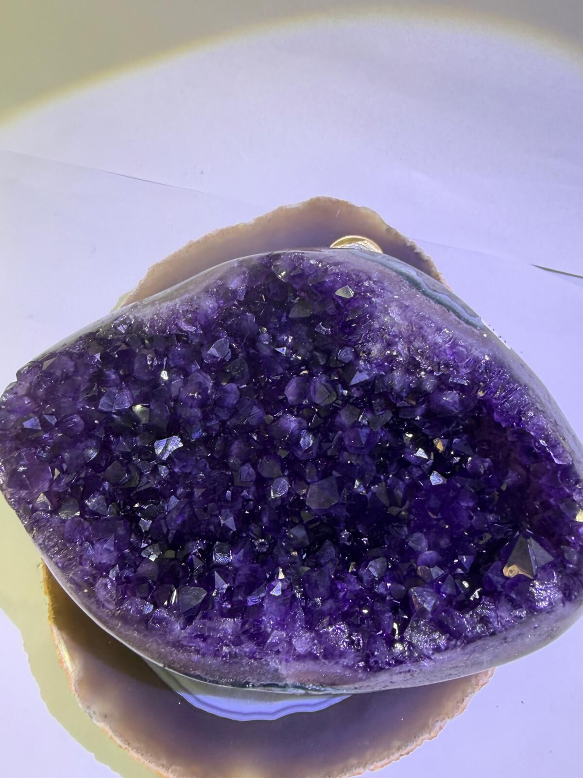 WA682 H11 頂級 SS 貨 1.5-2.2kg 水晶聚寶盆款