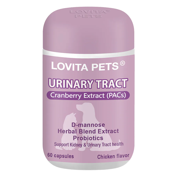 LOVITA PETS愛維他寵物 泌尿保健膠囊 60顆/罐 益生菌 蔓越莓 甘露醣