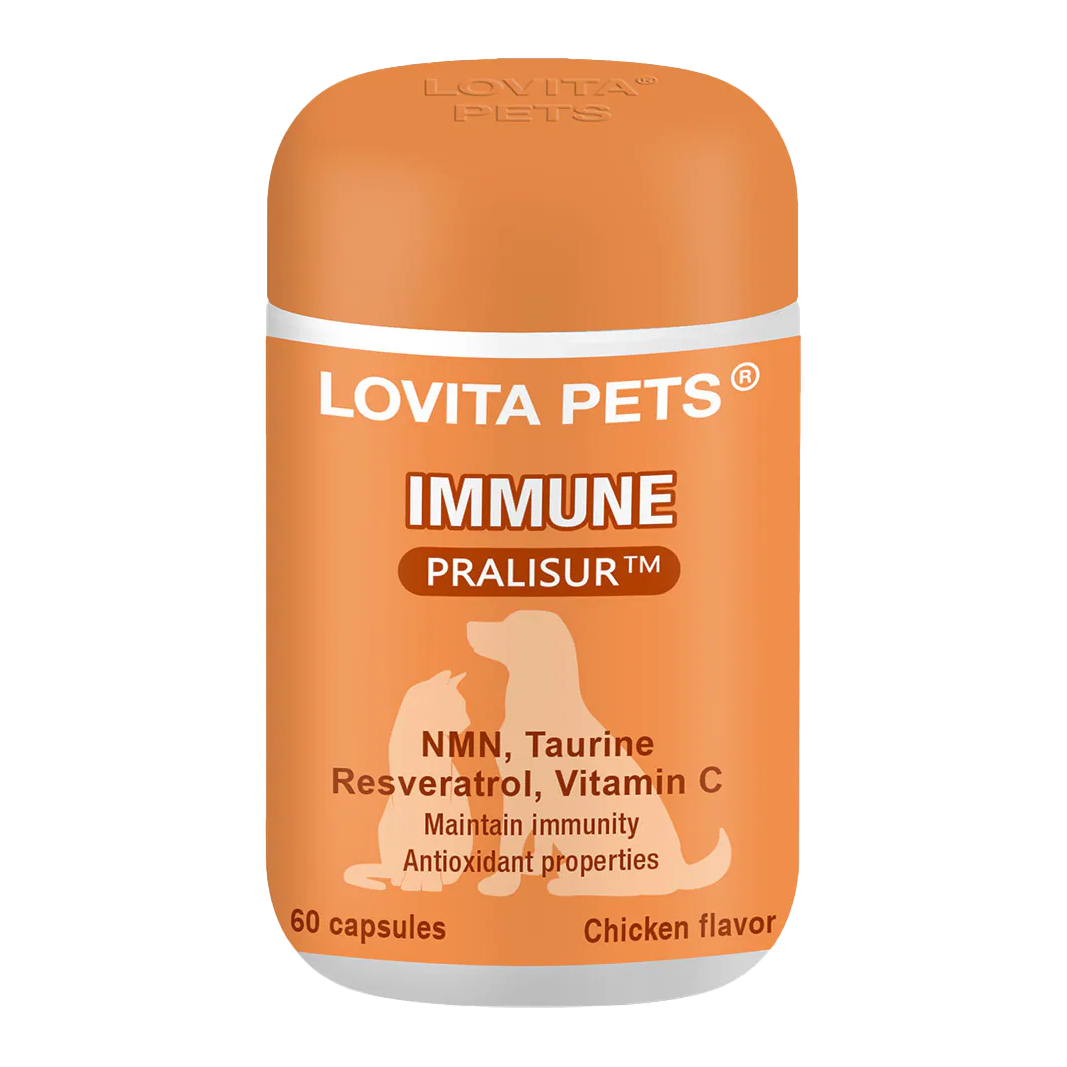 LOVITA PETS愛維他寵物 熟齡守護膠囊 60顆/罐 NMN 白藜蘆醇 牛磺酸 葡聚醣