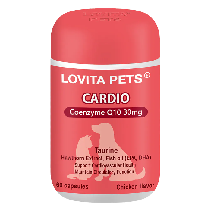 LOVITA PETS愛維他寵物 心血管保健膠囊 60顆/罐 魚油 Q10 牛磺酸 精胺酸 肉鹼