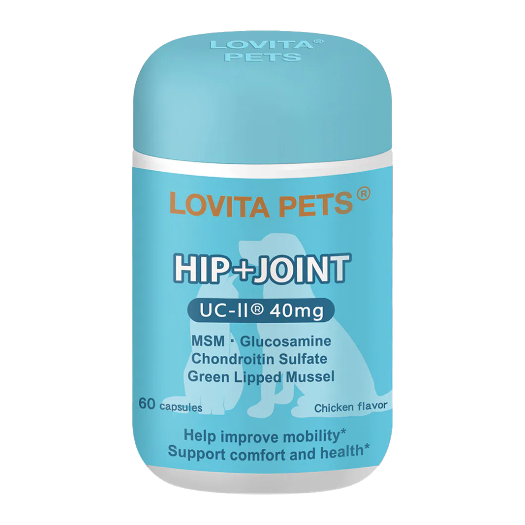 LOVITA PETS愛維他寵物 關節舒活膠囊 60顆/罐 葡萄糖胺 軟骨素 UC2 MSM