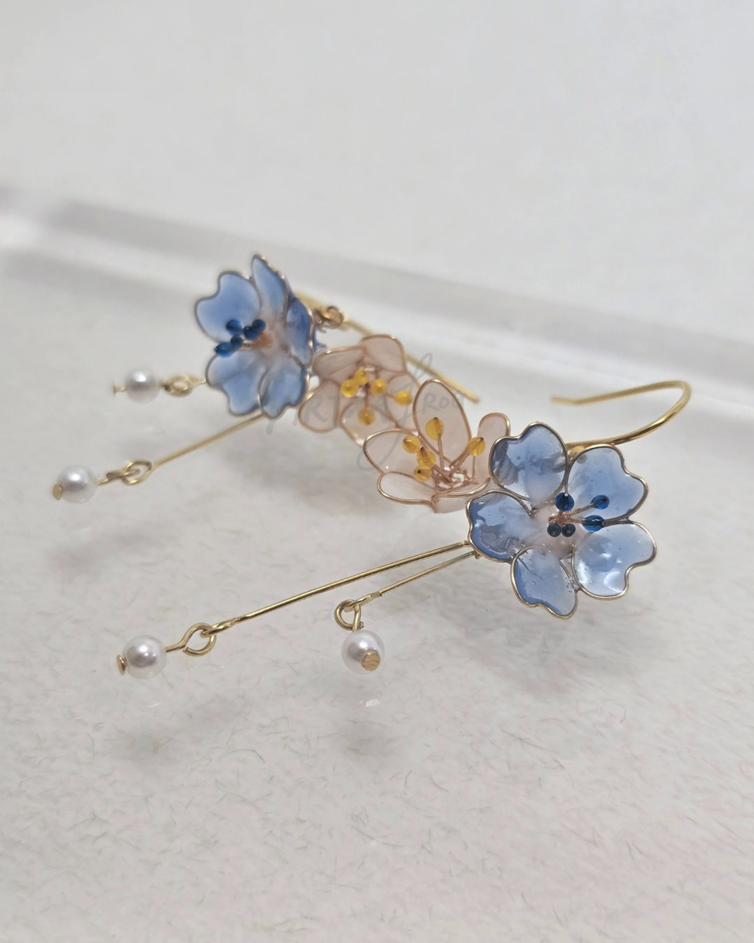 粉蝶花小蒼蘭