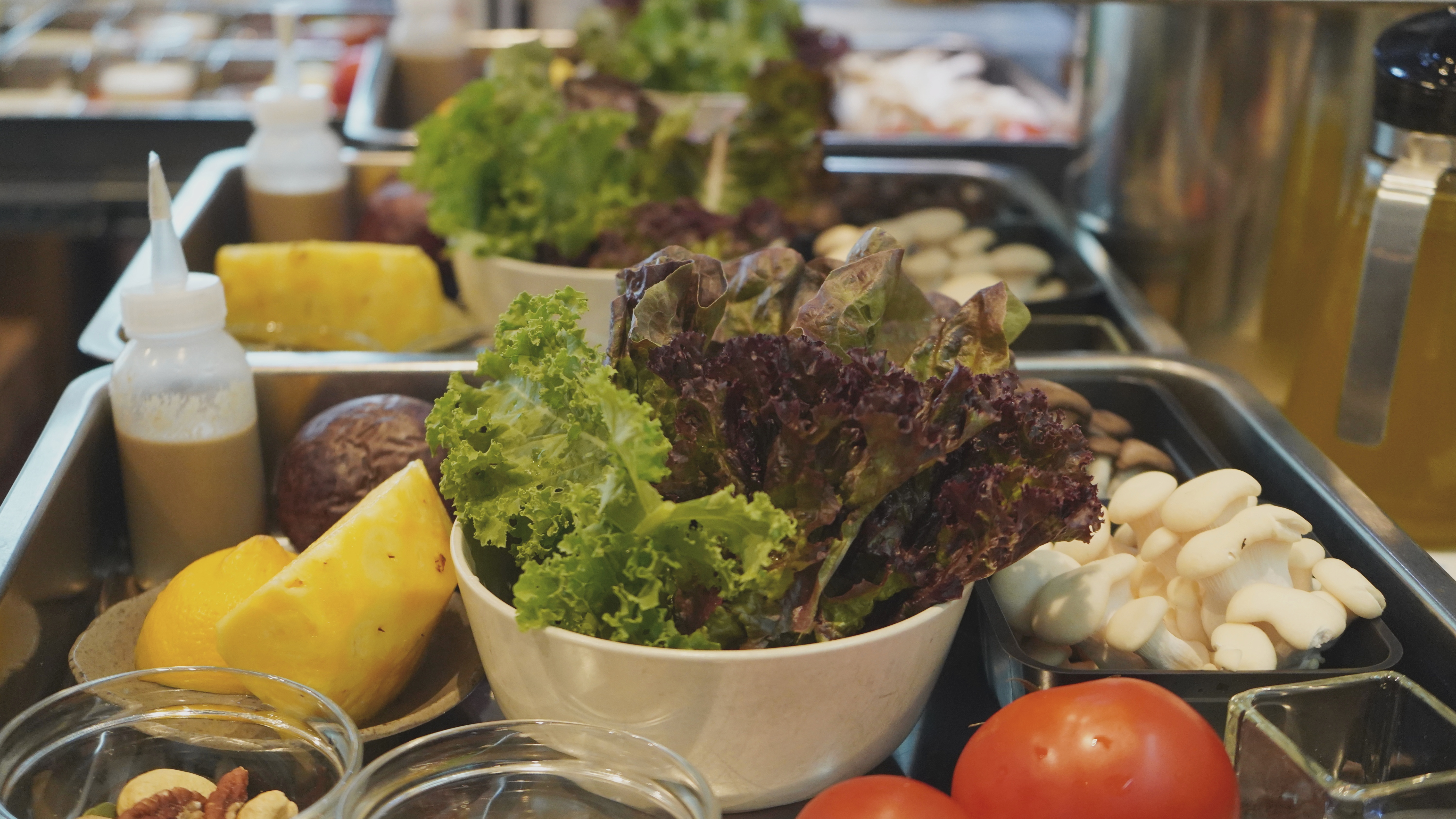 永續飲食講座｜初榨油系列 - 西班牙加泰隆尼亞橄欖油的故事與風味