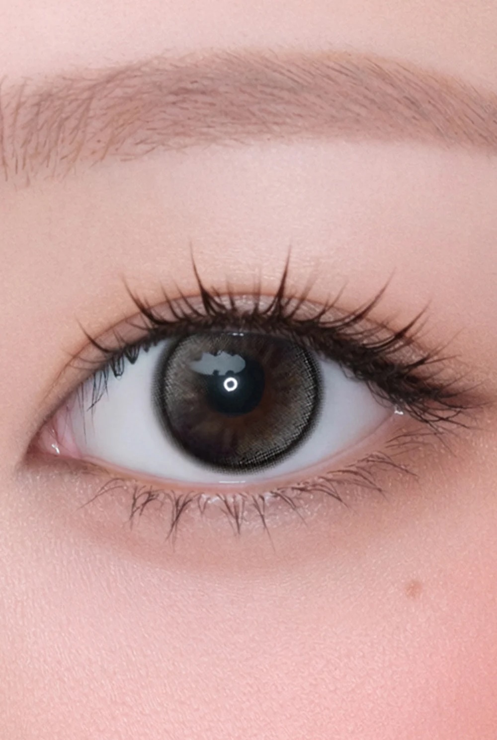 Dolly Kristin 1Day (Black)(10片)