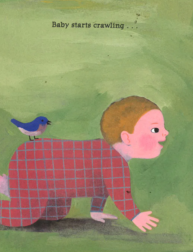 CS Rock A Bye Romp (Hardcover)