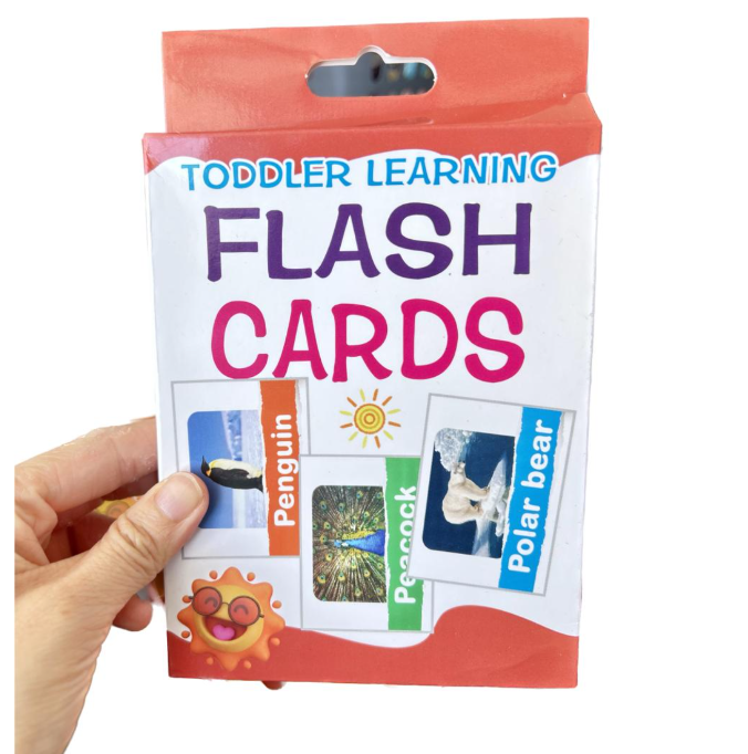 toddler learning flash cards