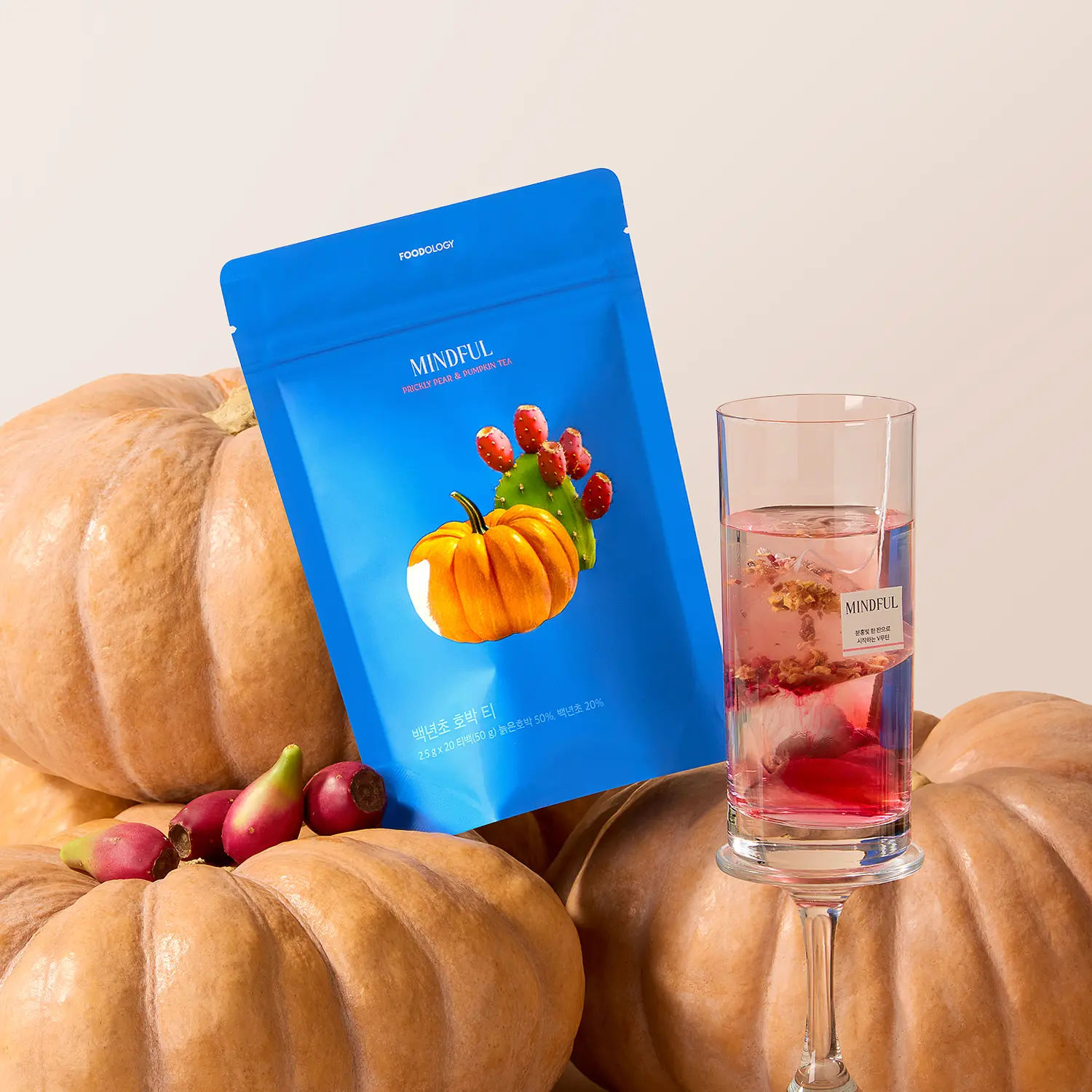 FOODOLOGY 仙人掌果南瓜循環茶 (20入茶包)