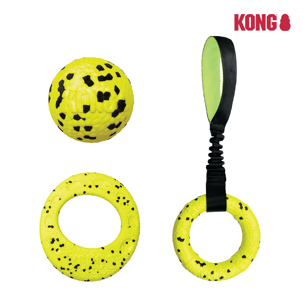 KONG | 彈力球/彈力飛盤/彈力互動拉環 - 浮水玩具