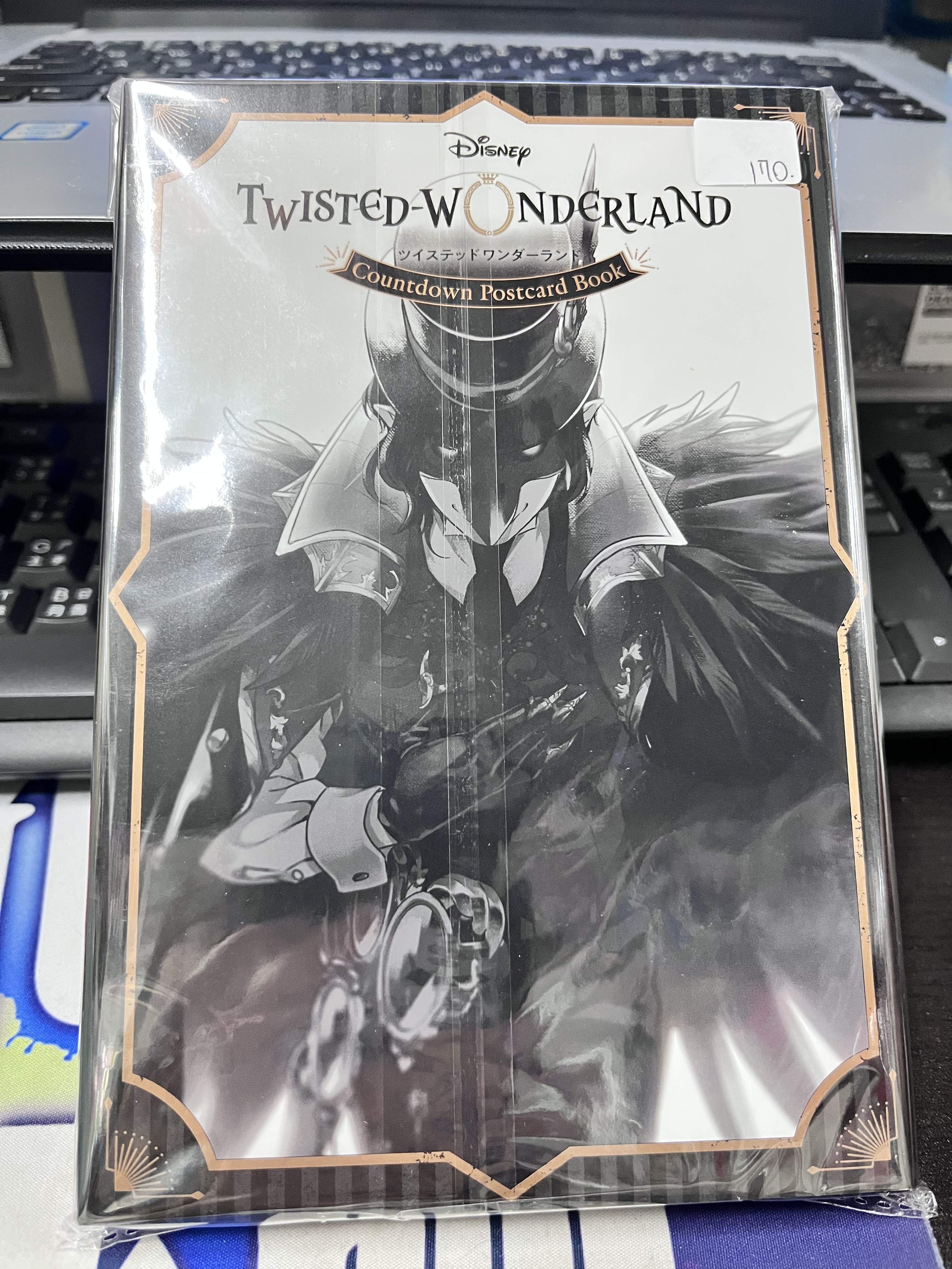 TWST  明信片書 #361