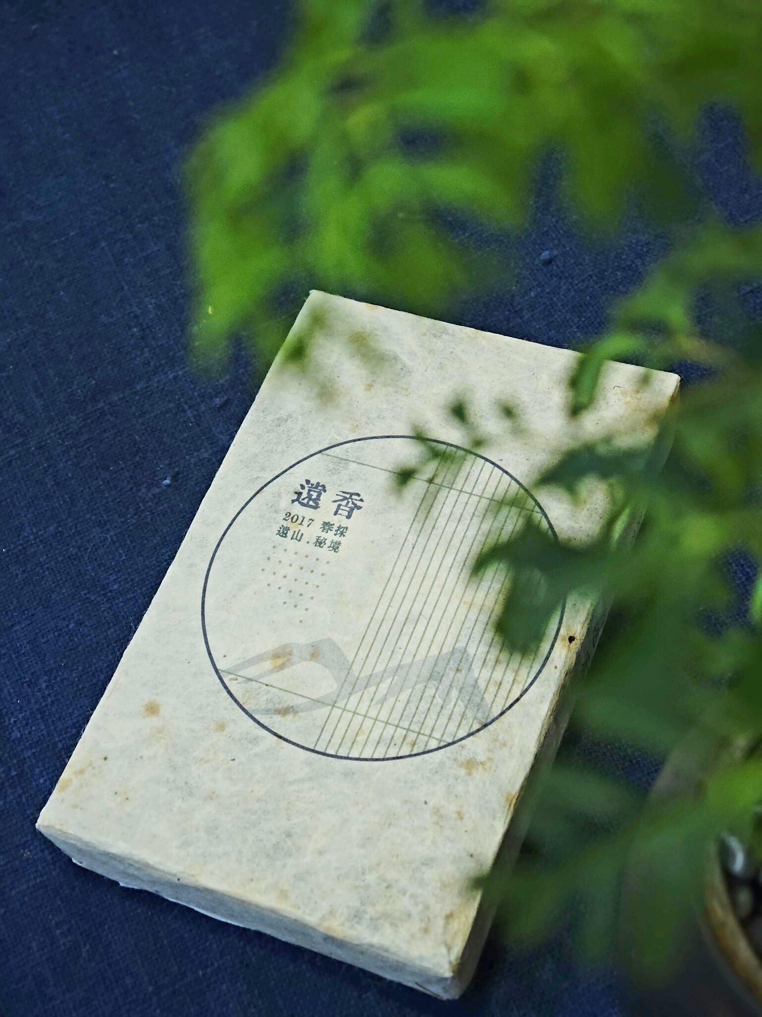 《遠香》喬木大樹普洱雲茶