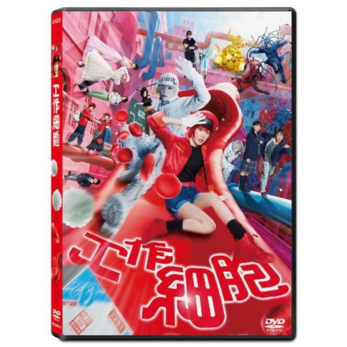 工作細胞 (2024) (DVD) [3月12日推出]