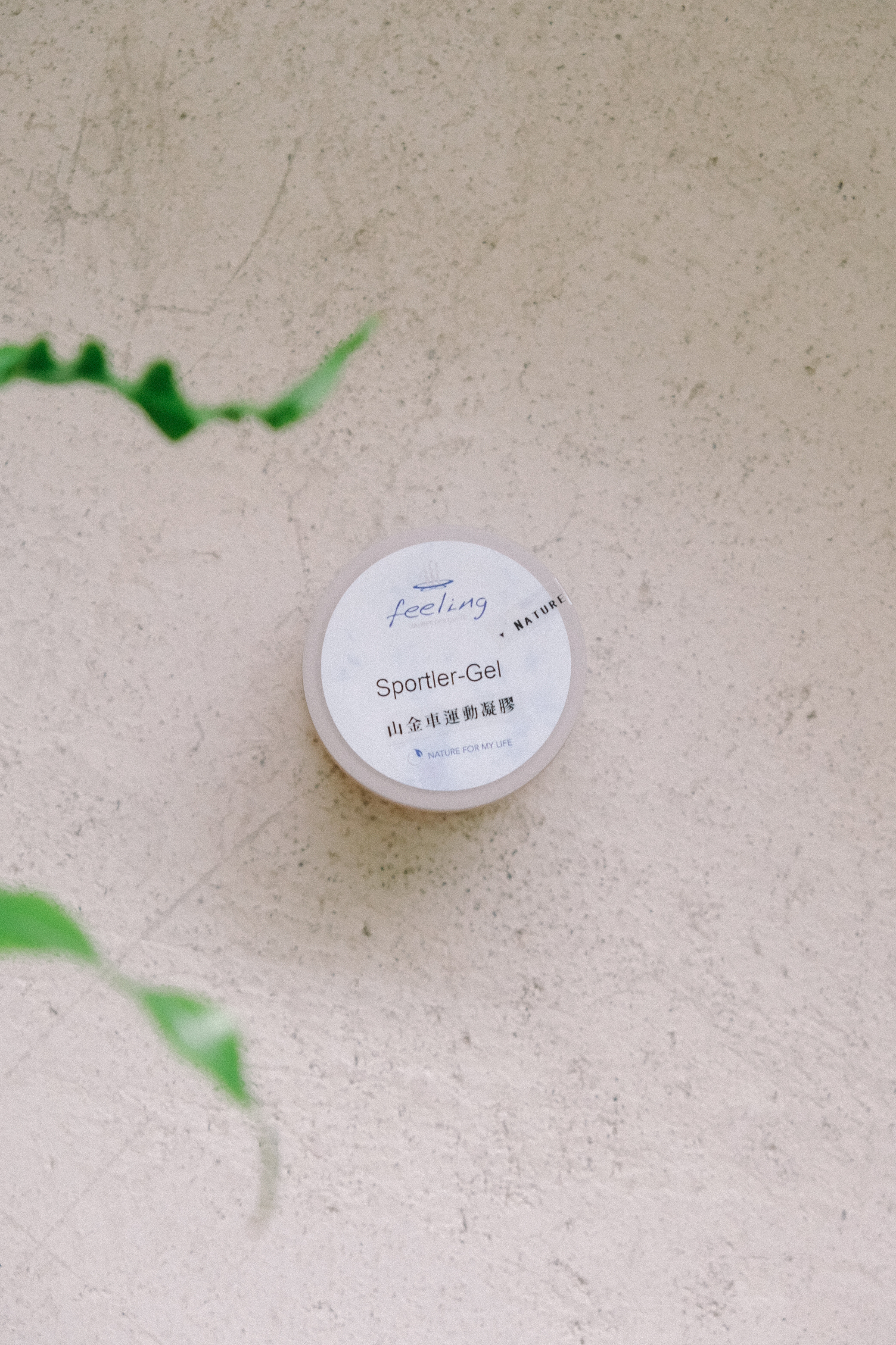 溫暖修復｜山金車運動凝膠