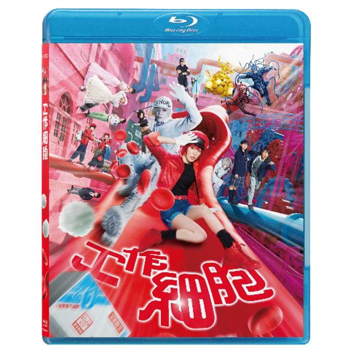 工作細胞 (2024) (Blu-ray) [3月12日推出]