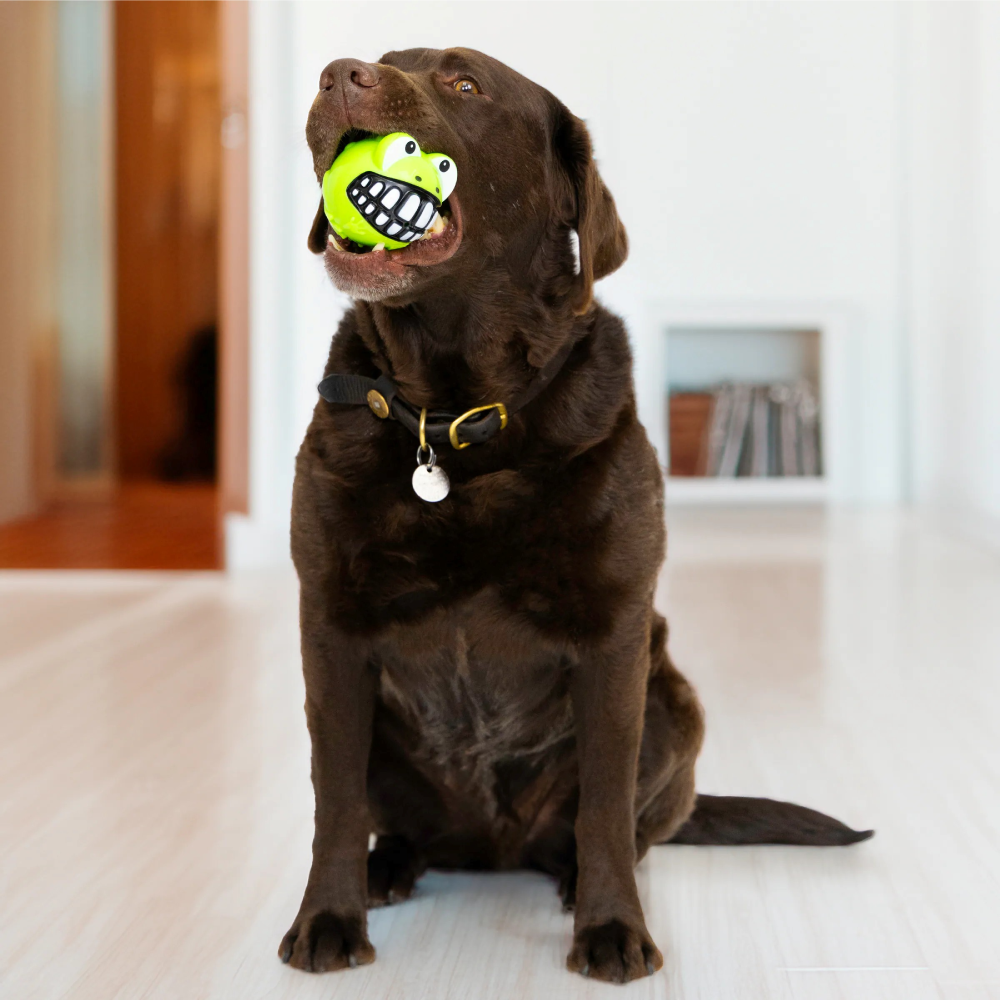 KONG | 搞怪笑臉河豚球/搞怪笑臉青蛙球