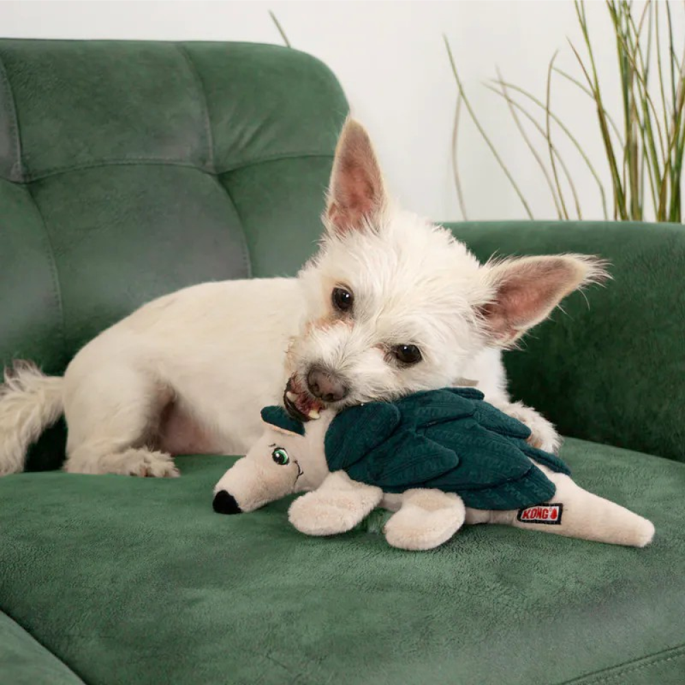 KONG | 多層立體藏食玩具 犰狳/刺蝟/母雞 - 藏食玩具