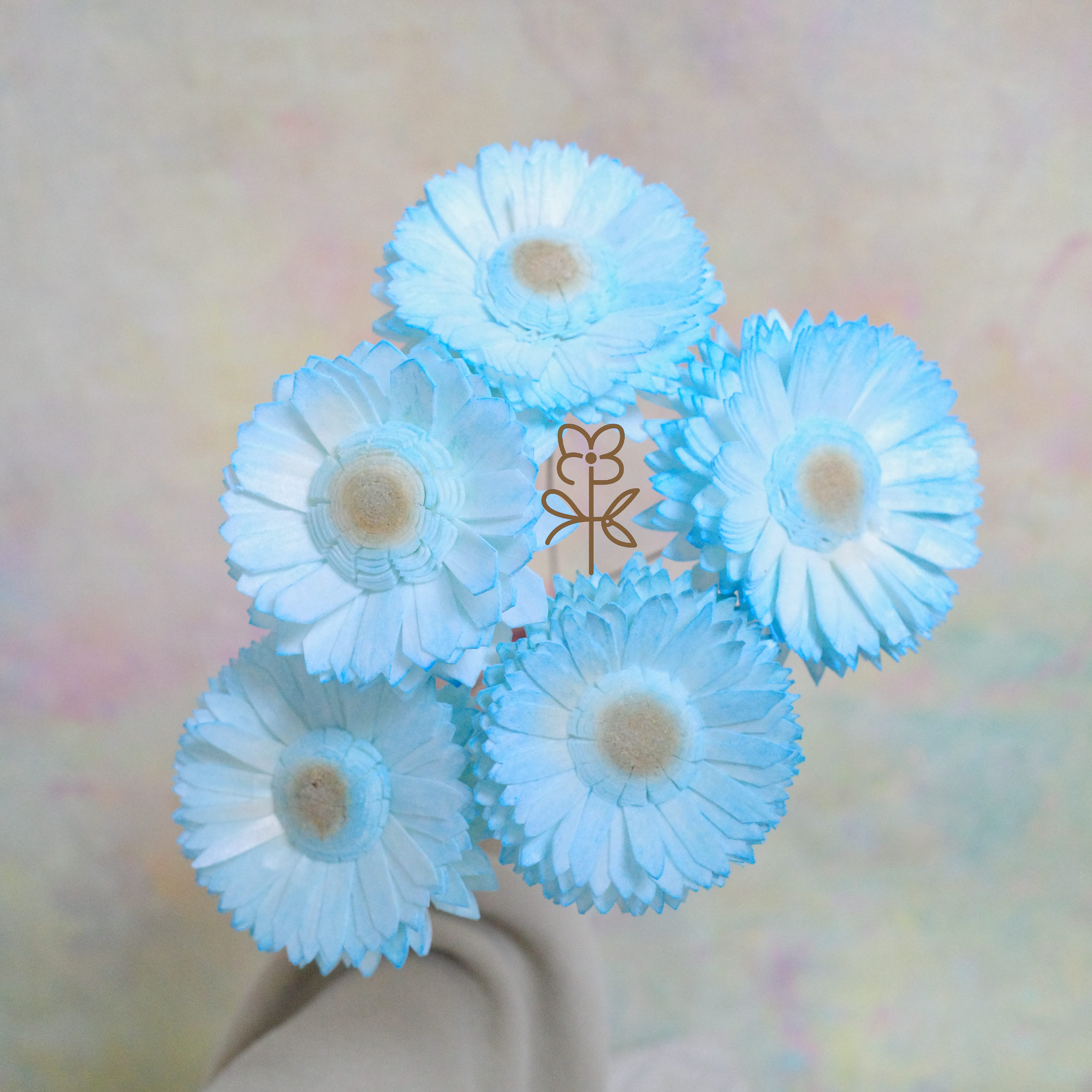 泰國索拉 6cm 向日葵索拉花