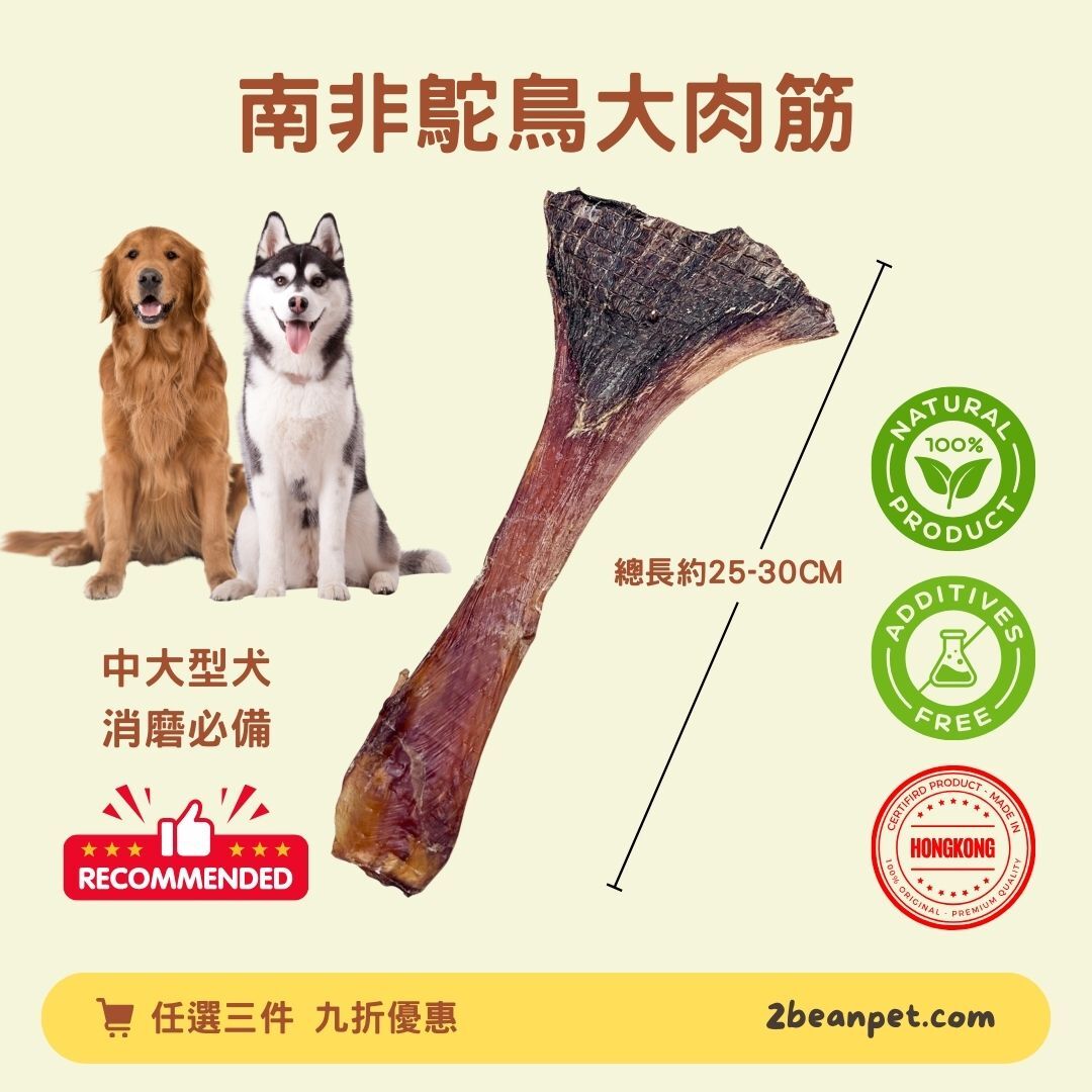 2BeanPet 風乾南非鴕鳥大肉筋｜超級低敏 耐咬消遣 潔齒首選｜香港製造 天然風乾 狗零食｜全天然無添加