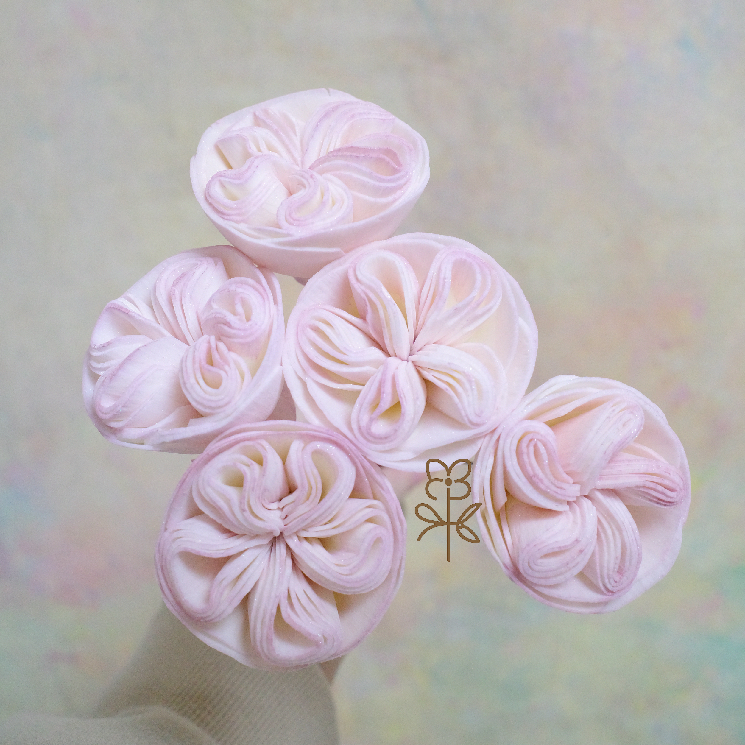 泰國索拉 5cm 奧斯丁玫瑰