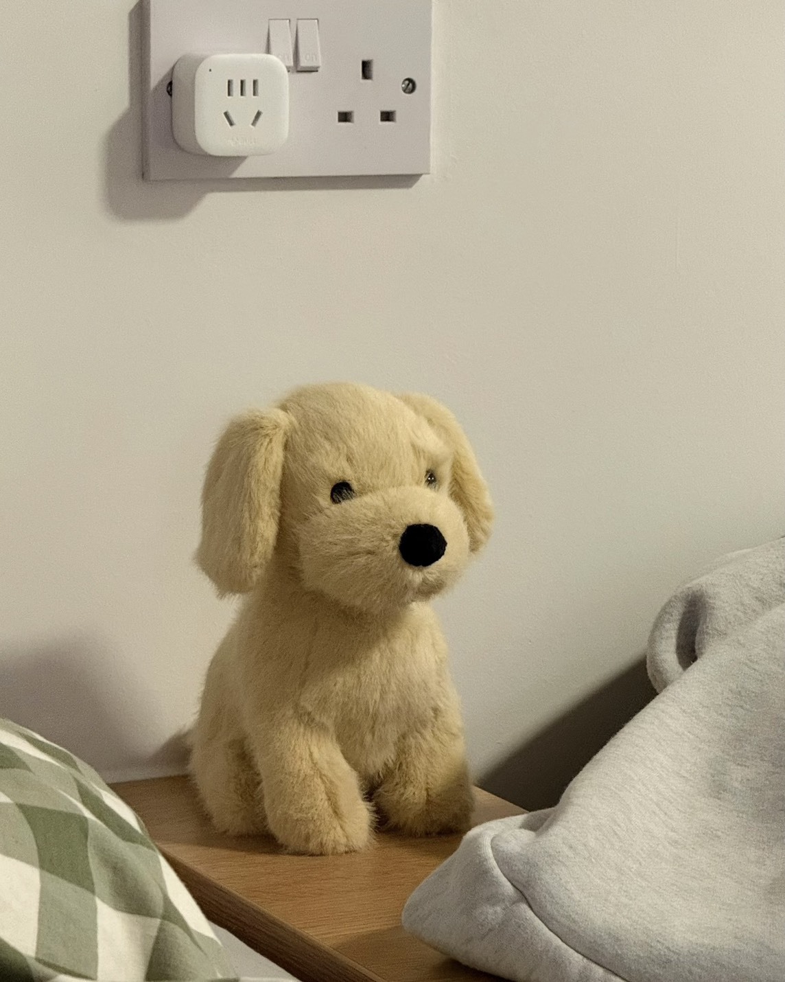 <新品到🔥限量接單>Jellycat 黃金獵犬 小金毛 21cm