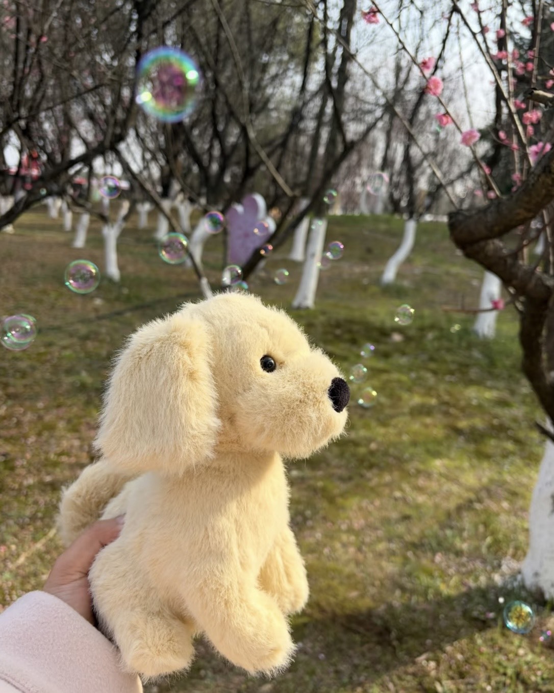 <新品到🔥限量接單>Jellycat 黃金獵犬 小金毛 21cm